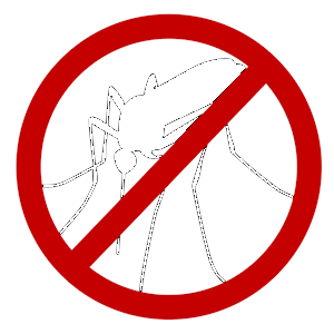no insects